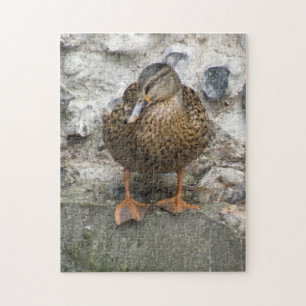 Canard sur un puzzle