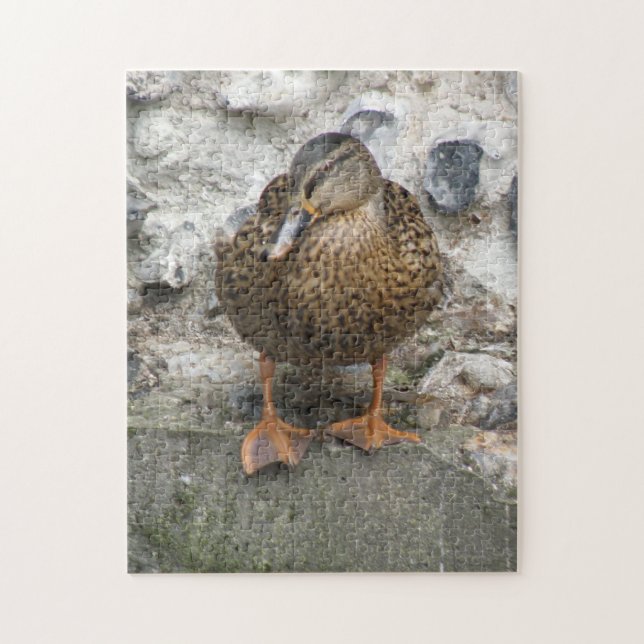 Canard sur un puzzle (Vertical)