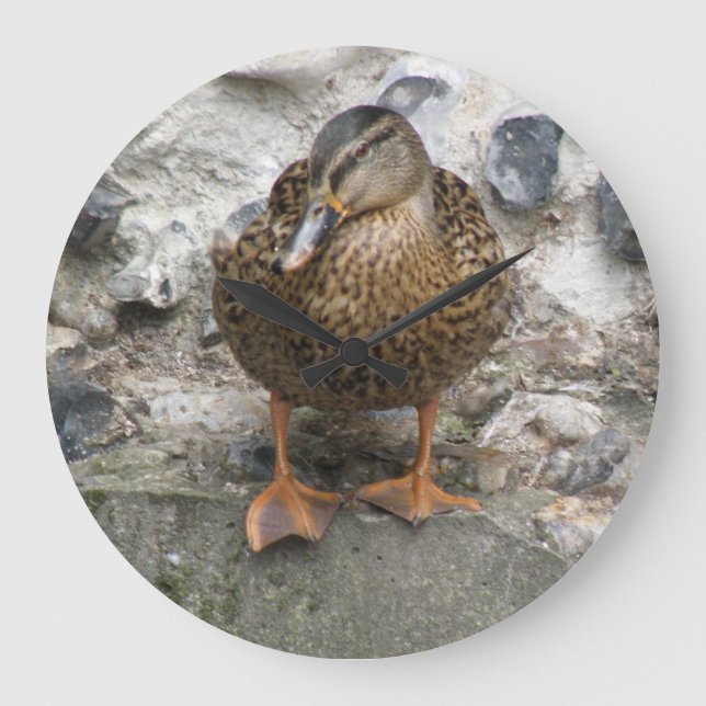 Canard sur une horloge murale (Recto)