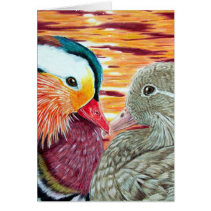 Canards amoureux