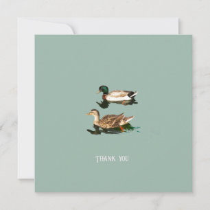 Canards colverts