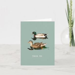 Canards colverts