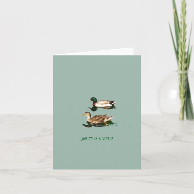 Canards colverts (Devant)
