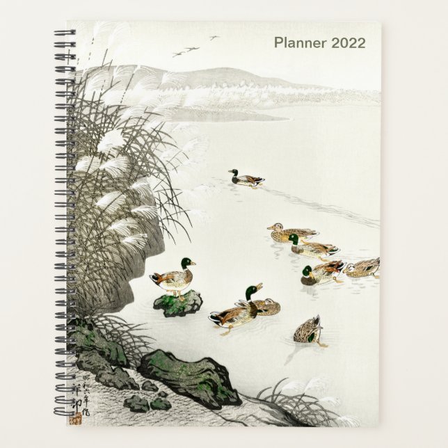 Canards colverts japonais dans l'eau par Ohara Kos (Devant)