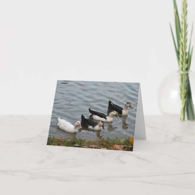 Canards dans une carte de note de ligne (Devant)