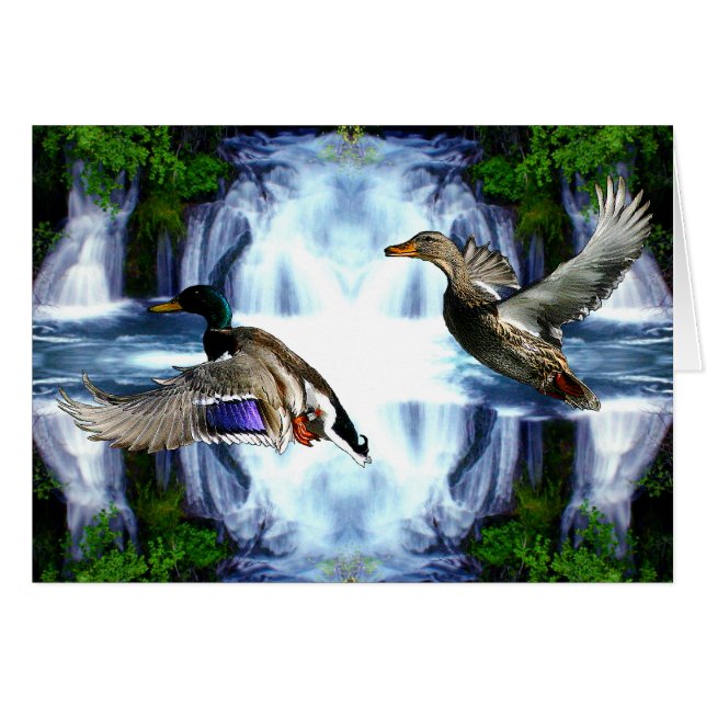 Canards de Mallard (Devant horizontal)