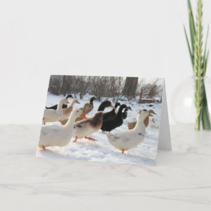 Canards en hiver Carte de voeux de neige