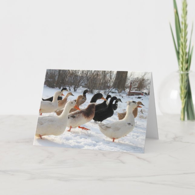 Canards en hiver Carte de voeux de neige (Devant)