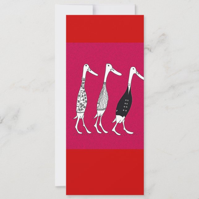 Canards habillés (Devant)