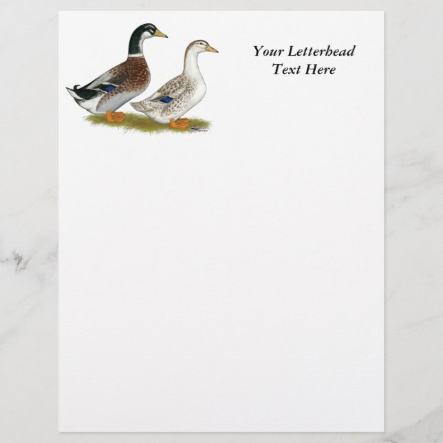 Canards : Joyeuse Argent (Devant)