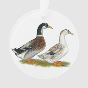 Canards : Joyeuse Argent