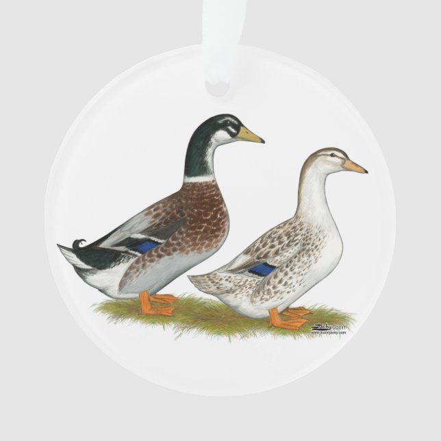 Canards : Joyeuse Argent (devant)