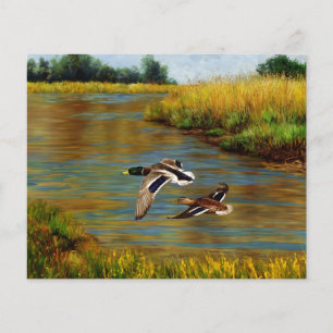Canards-Majards Survolant L'Étang