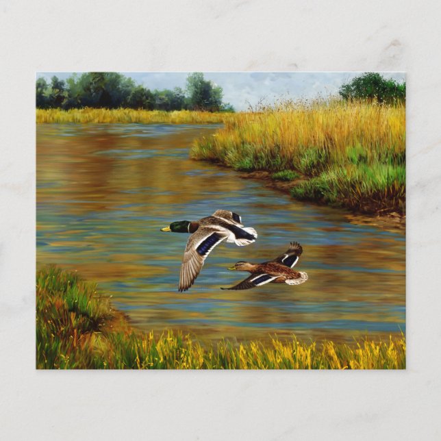 Canards-Majards Survolant L'Étang (Devant)
