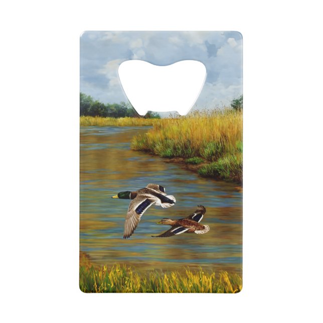Canards-Majards Survolant L'Étang (Devant)