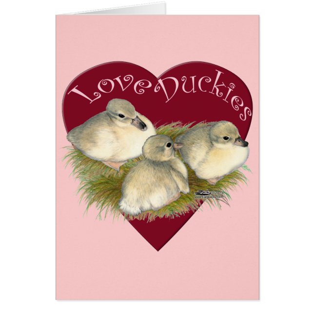 Canards mignons (Devant)
