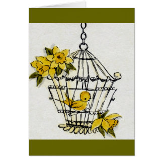 Canari et Dafodills