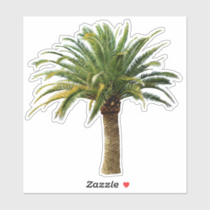Canary Island Date Palm Tree Sticker