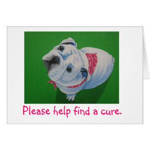 cancer du sein, chien de taureau