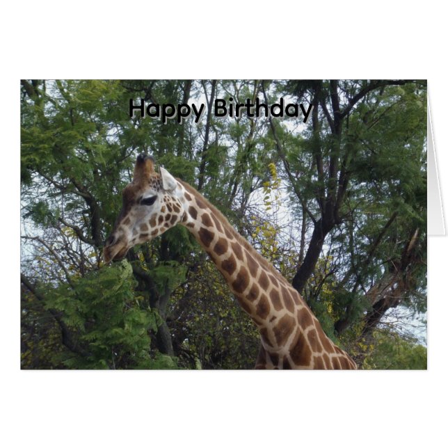 Candy la girafe, carte d'anniversaire (Devant horizontal)
