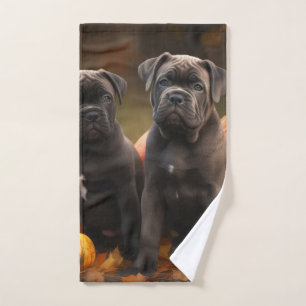 Cane Corso Chiot Automne Citrouille de plaisir