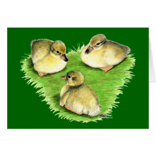 Canetons de canard colvert enneigés