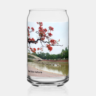 Canette Verre de vin