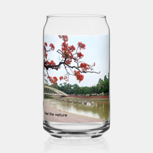 Canette Verre de vin (Recto)