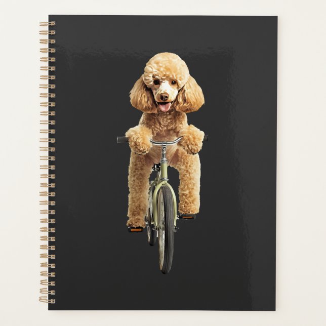 Caniche  (Devant)