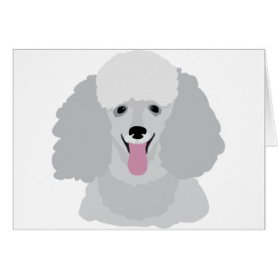 Caniche de jouet
