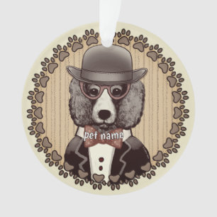 Caniche portant des lunettes