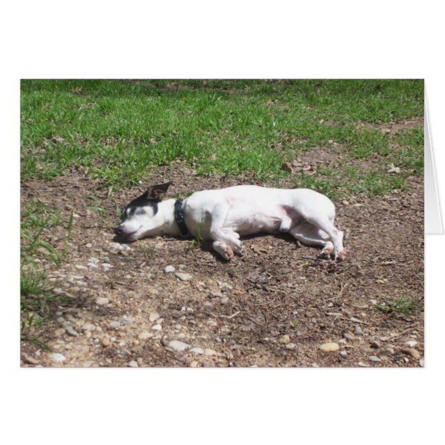 Canicules (Devant horizontal)