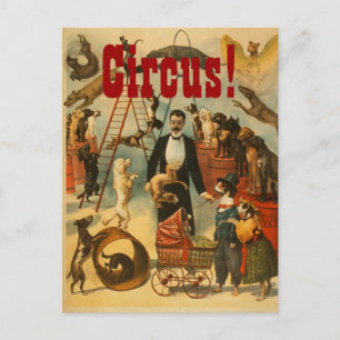 Canine Circus - Carte postale #2