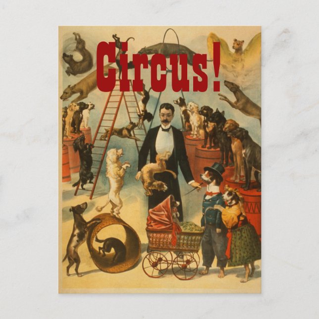 Canine Circus - Carte postale #2 (Devant)