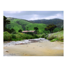 Cannibal Bay : Caitlins : Poster Nouvelle-Zélande