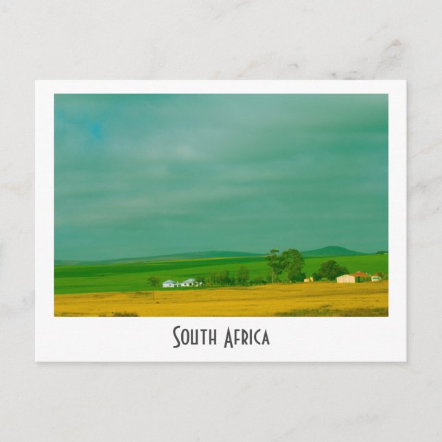 Canola Fields Afrique du Sud Paysage Carte postale (Devant)