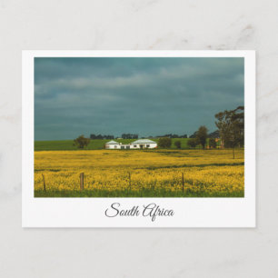 Canola Fields Afrique du Sud Paysage Carte postale