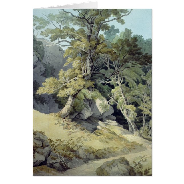 Canonteign, Devon (Devant)