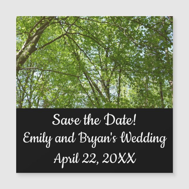 Canopée du printemps Feuille Green Nature Scene (Devant)