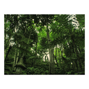 Canopée lustre @ Madeira Portugal Photo