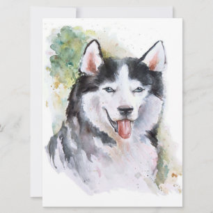 Canvas à chien Husky