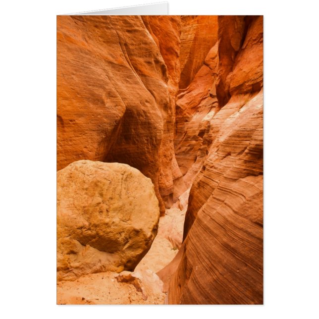 Canyon à fente creux rouge (Devant)