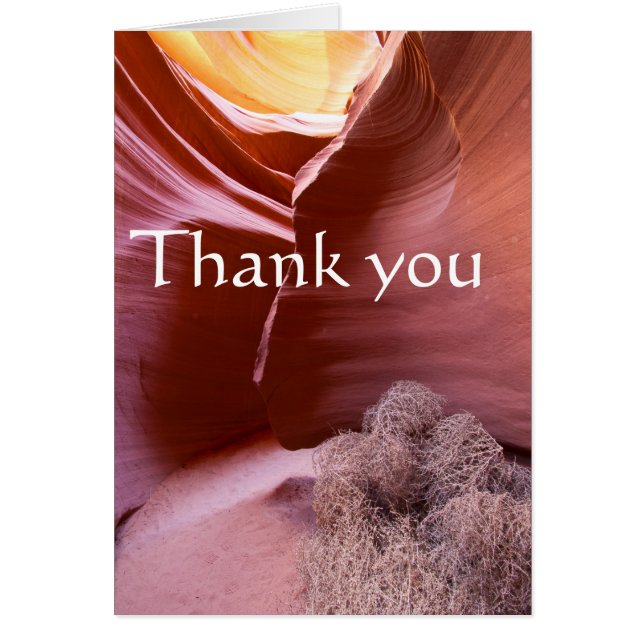 Canyon aux multiples couleurs, merci (Devant)