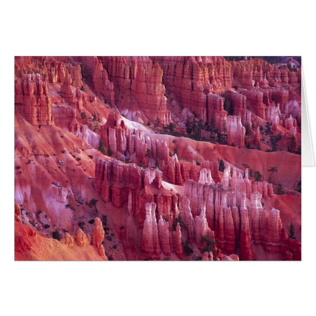 Canyon Bryce, Utah, États-Unis (Devant horizontal)