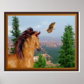 Canyon Horse - Poster de l'aigle