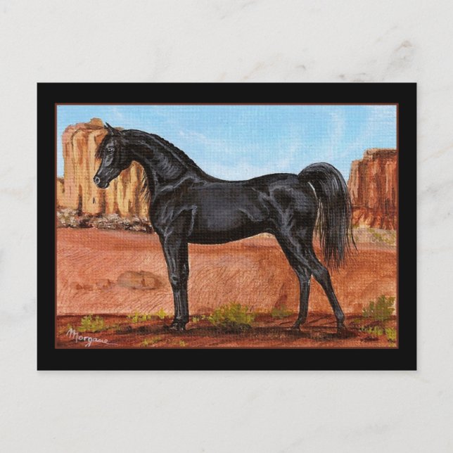 Canyon Wonder Arabe cheval carte postale (Devant)