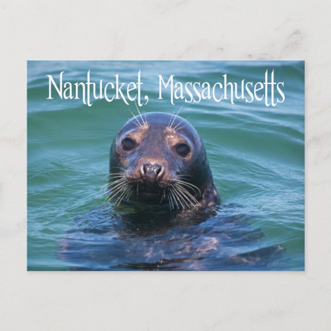 Cape Cod, Nantucket, Massachusetts Seal Carte post (Devant)