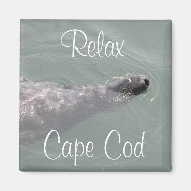 Cape Cod, Phoque flottant relaxant  Aimant (Devant)