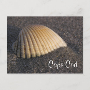 Cape Cod Seashell sur la carte de poste de plage