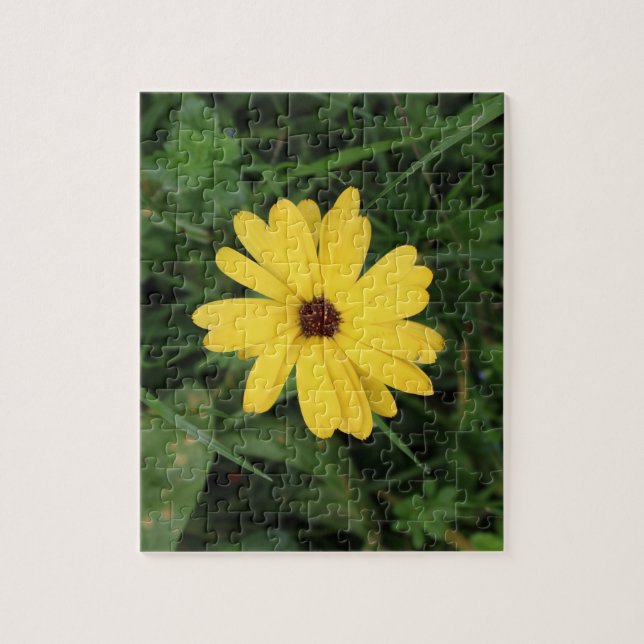Cape Daisy (fleur jaune) Jigsaw Puzzle (Vertical)